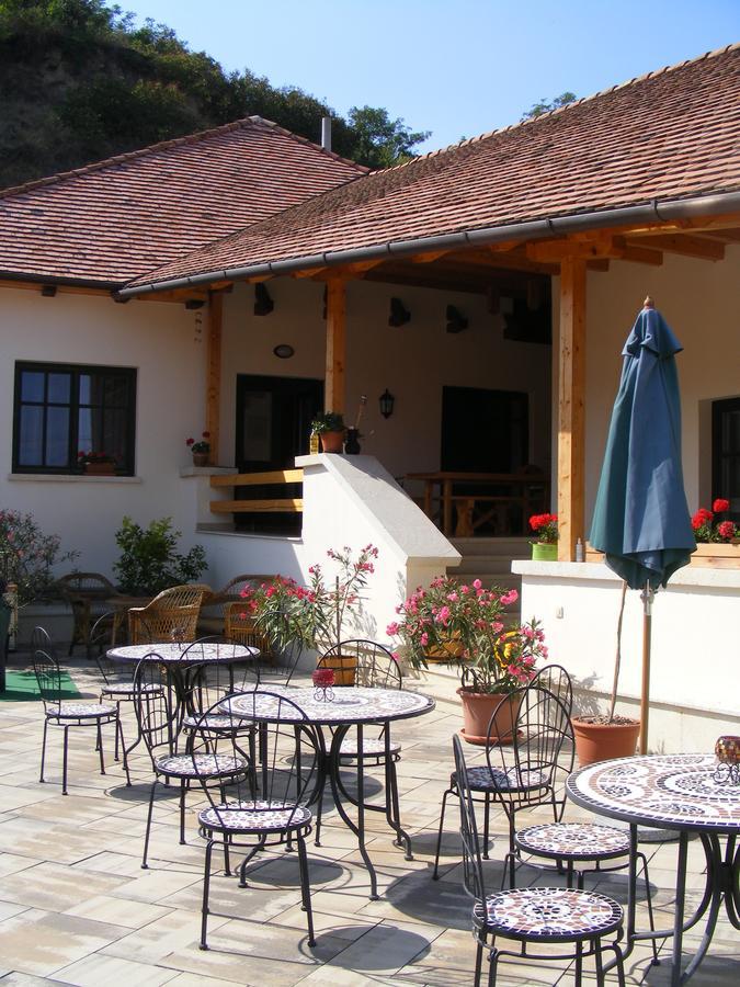 Apartamento Erzsébet Pince Tokaj Exterior foto